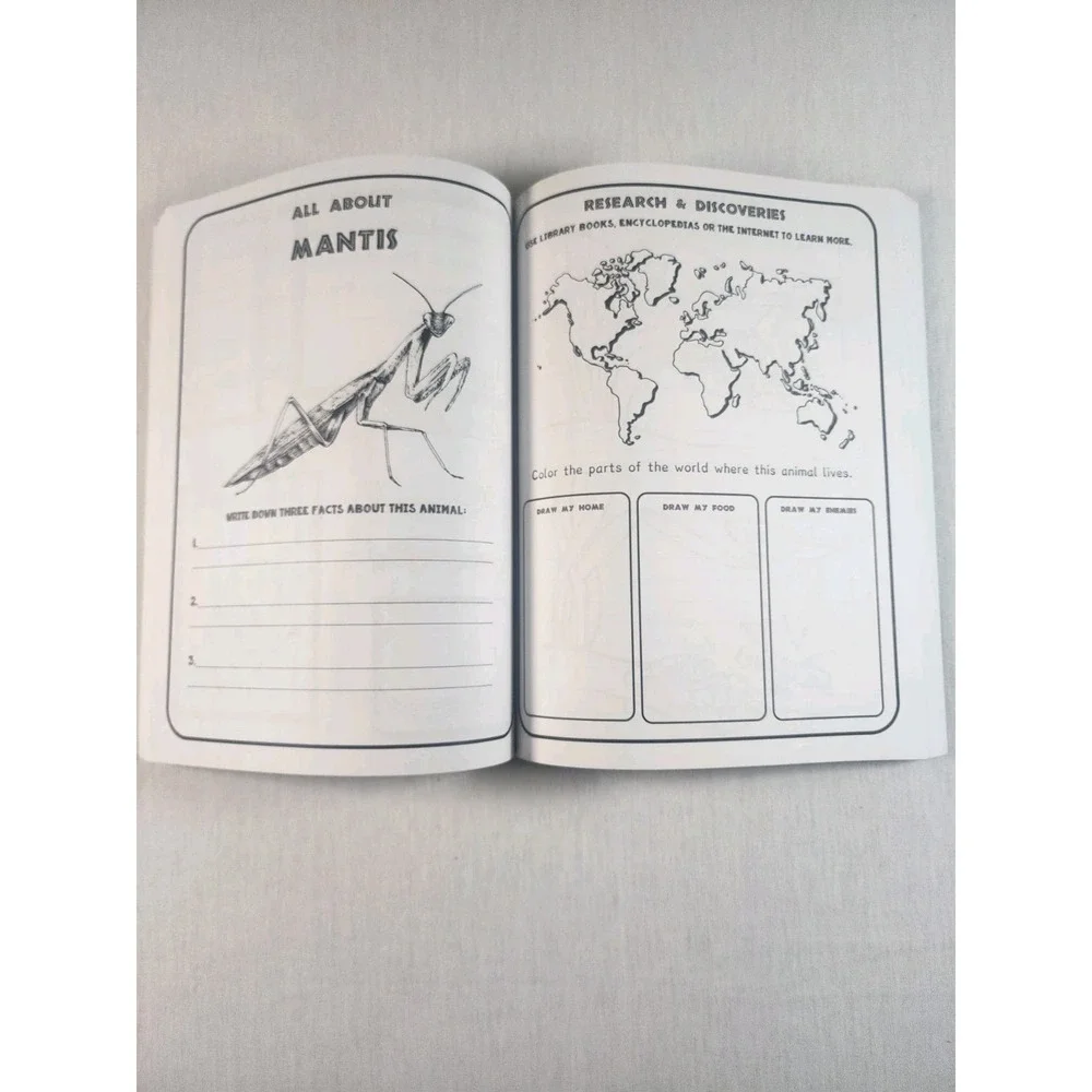 The Thinking Tree All About Bugs Homeschooling Science Geography Unit Workbook